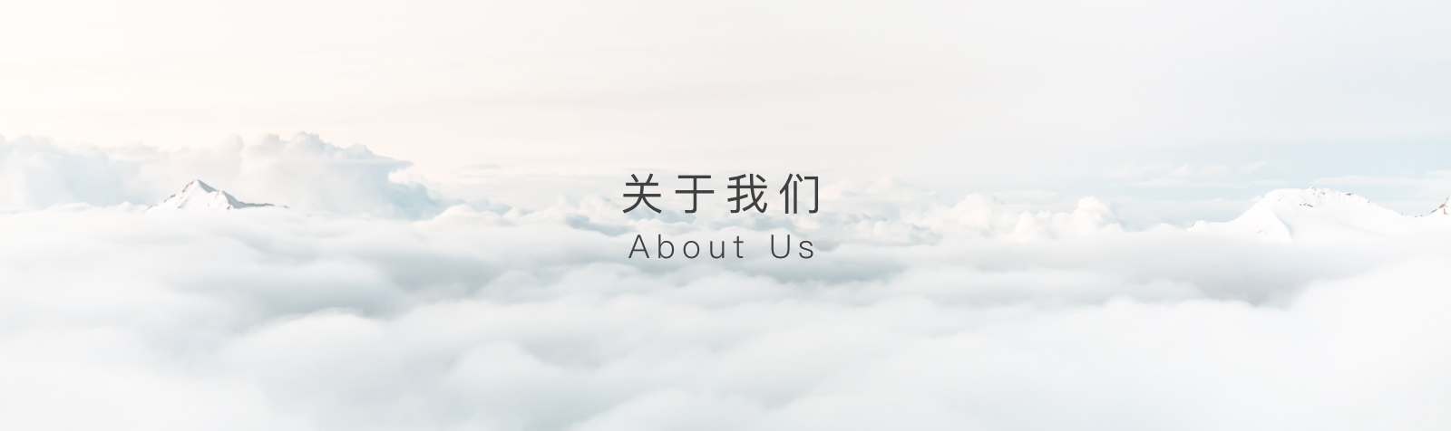 关于我们